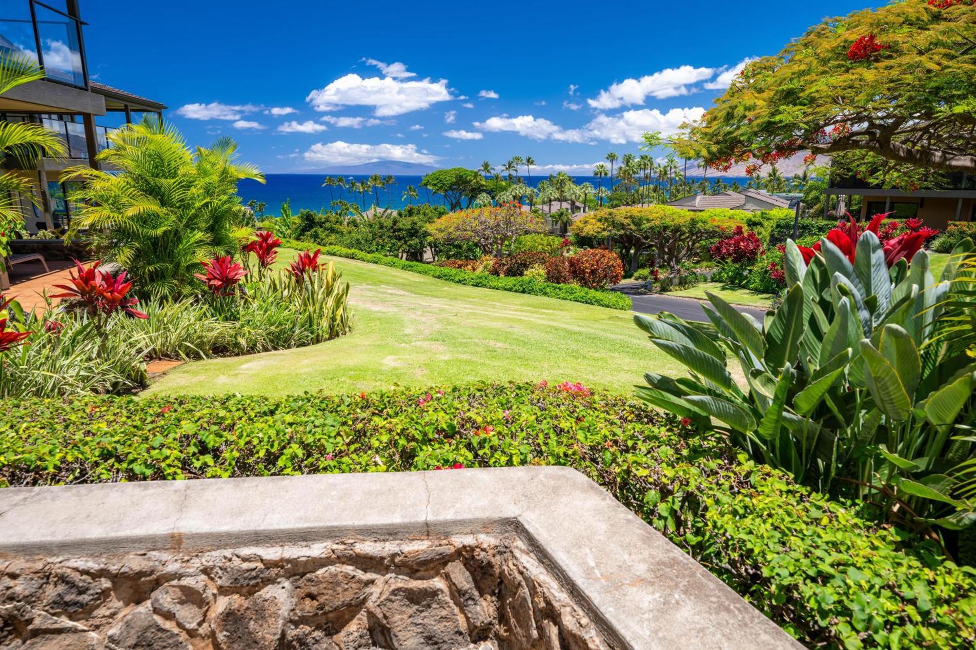 Elua 2001 Wailea (Maui) Exterior foto